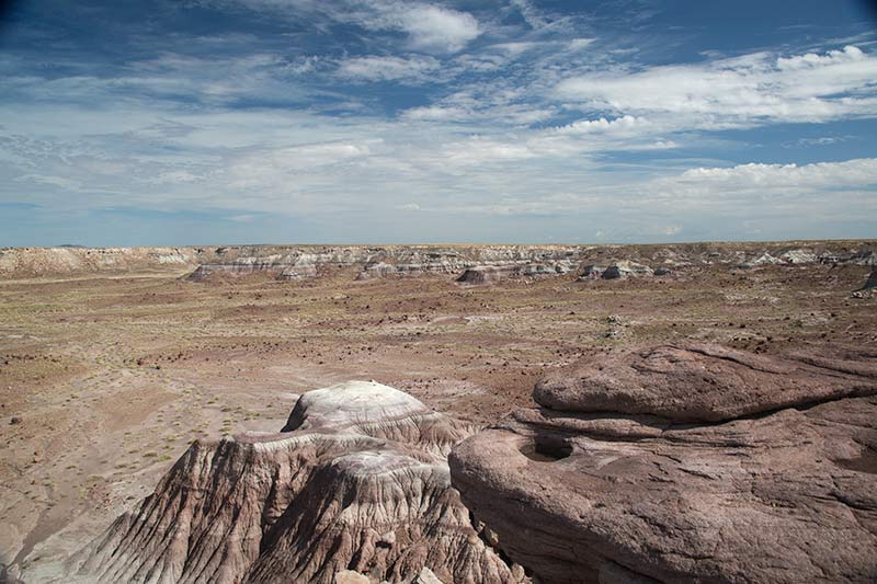 Petrified Landscape 02